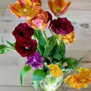 Meet your Posher, Lou